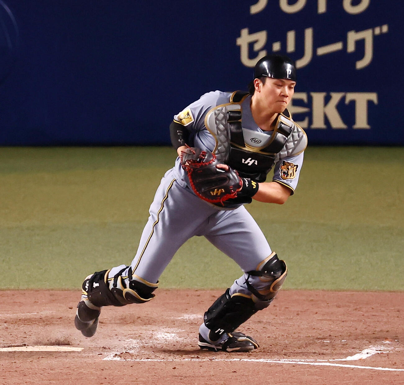 中日対阪神　5回裏中日1死一、三塁、伏見寅威は大山悠輔からの送球を捕球（撮影・加藤哉）