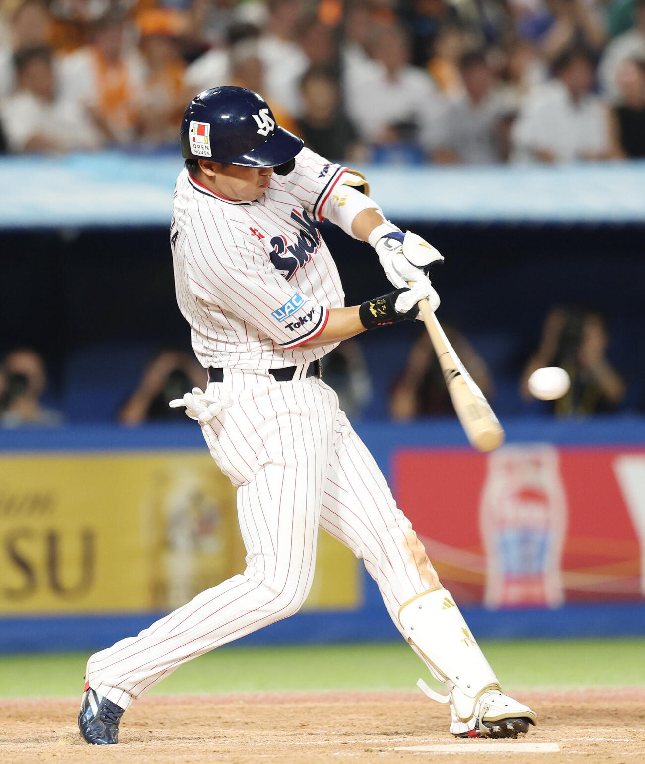 ヤクルト対巨人　3回裏ヤクルト1死、安打を放つ山田哲人（撮影・増田悦実）