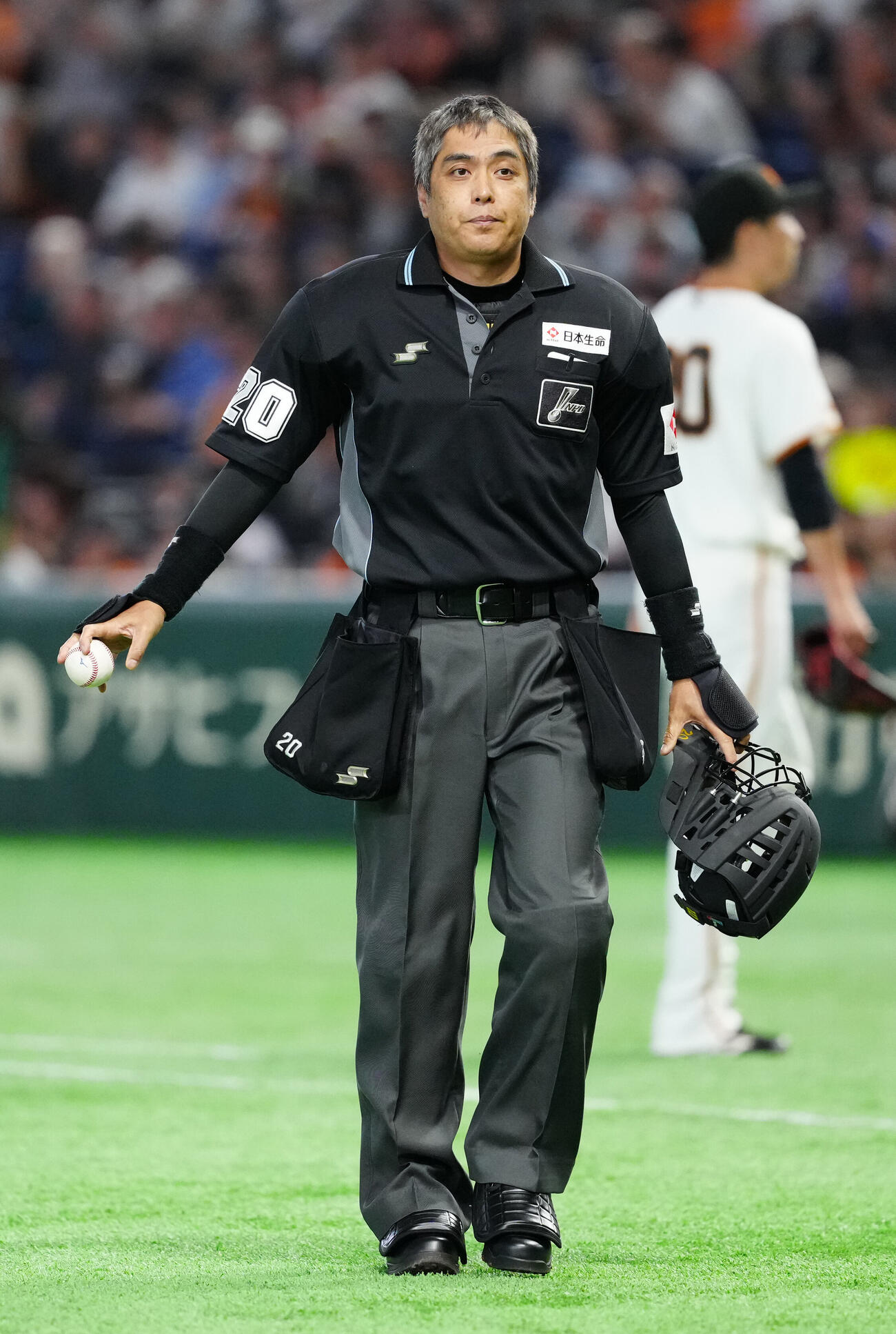 白井一行球審（2026年6月撮影）