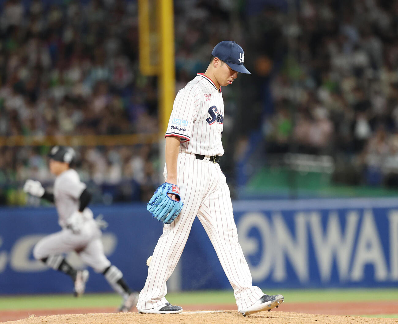 ヤクルト対巨人　6回表巨人無死、佐々木俊輔に本塁打を浴びる山野太一（撮影・増田悦実）