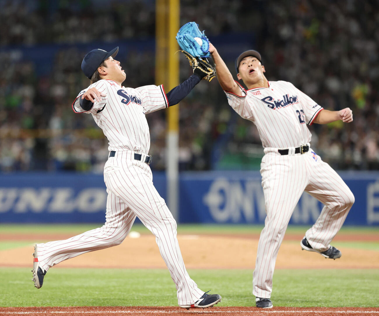 ヤクルト対巨人　3回表巨人2死二塁、松本剛の投飛を捕る山野太一。左は赤羽由紘（撮影・増田悦実）