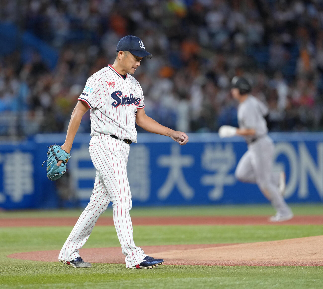 ヤクルト対巨人　1回表巨人無死二塁、ボビー・ダルベックに2点本塁打を浴びた石川雅規（撮影・足立雅史）