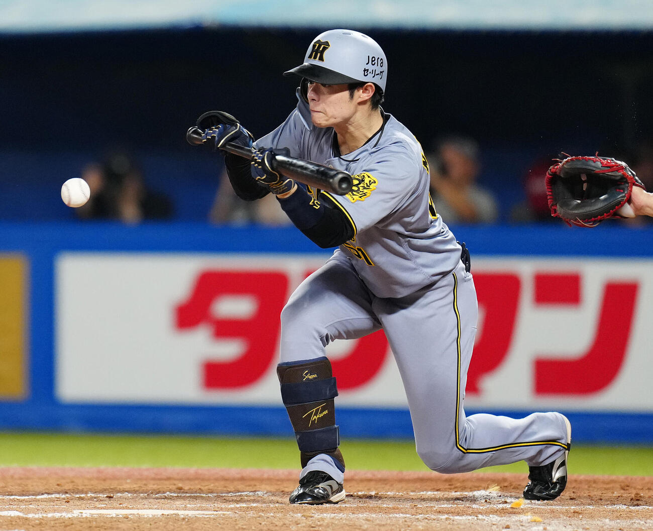 中野拓夢（2025年8月22日撮影）