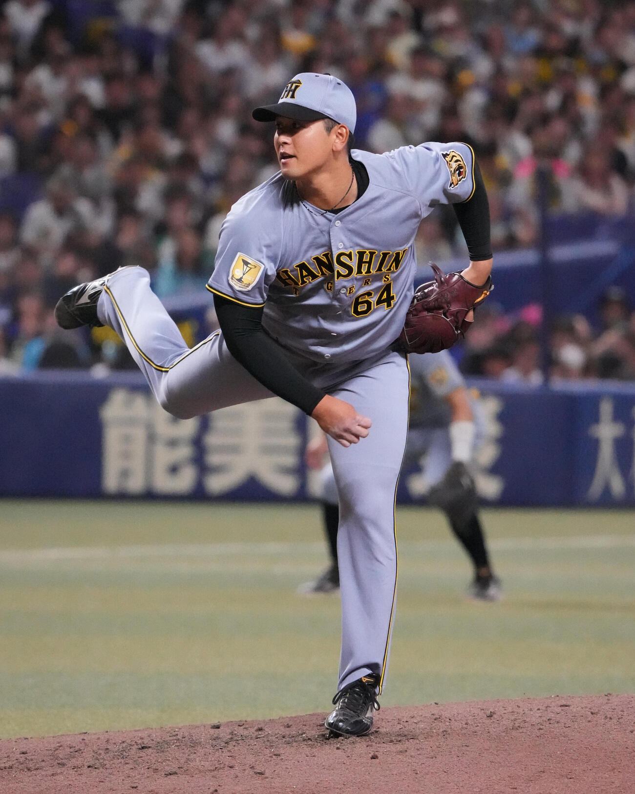 中日対阪神　5回裏、阪神3番手で登板する岡留英貴（撮影・森本幸一）