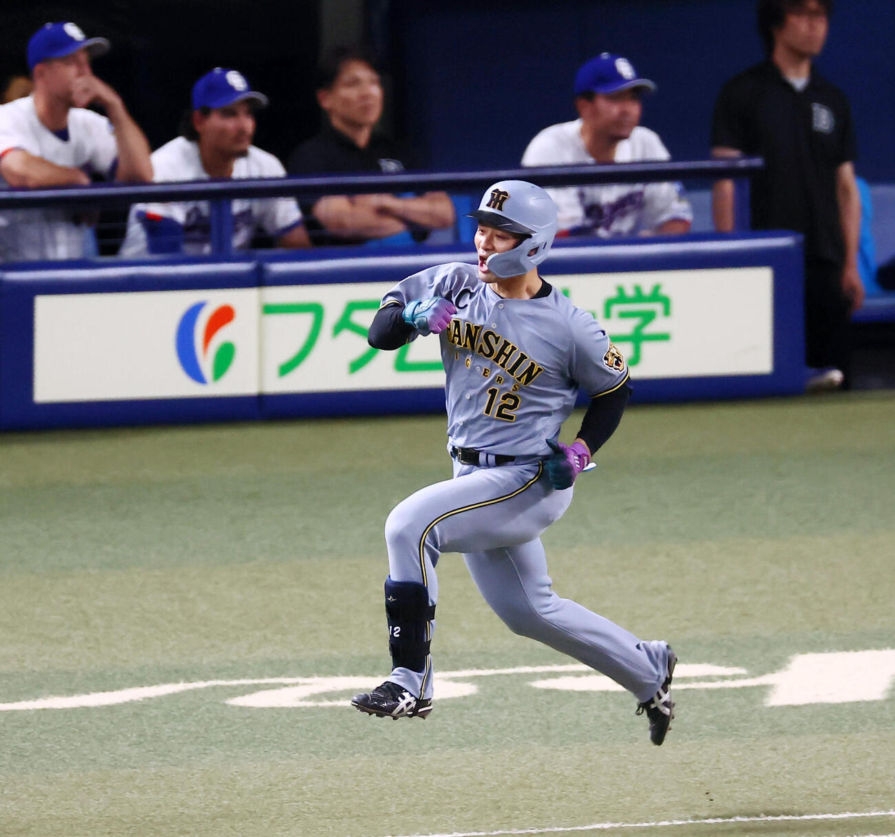 中日対阪神　8回表阪神1死一塁、坂本誠志郎は左越え逆転2点本塁打を放ちガッツポーズを見せてダイヤモンドを駆ける（撮影・加藤哉）