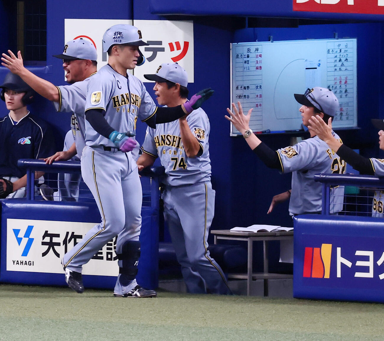 中日対阪神　8回表阪神1死一塁、坂本誠志郎は左越え逆転2点本塁打を放ちベンチの藤川球児監督（右）とタッチ（撮影・加藤哉）
