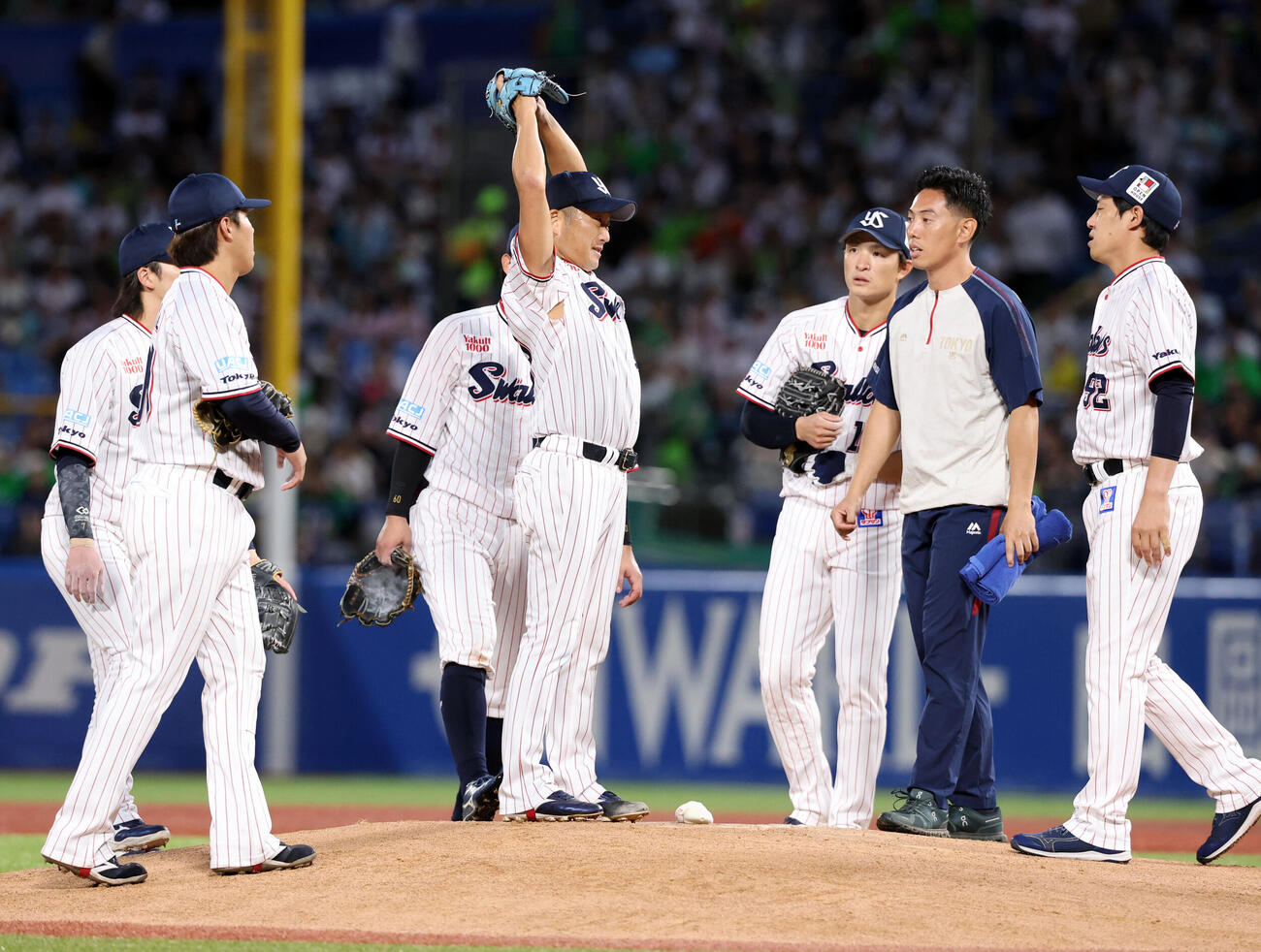 ヤクルト対巨人　1回表巨人1死一塁、泉口友汰に二塁打を許した場面で、マウンドで石川雅規は肩を上げて動かす（撮影・浅見桂子）