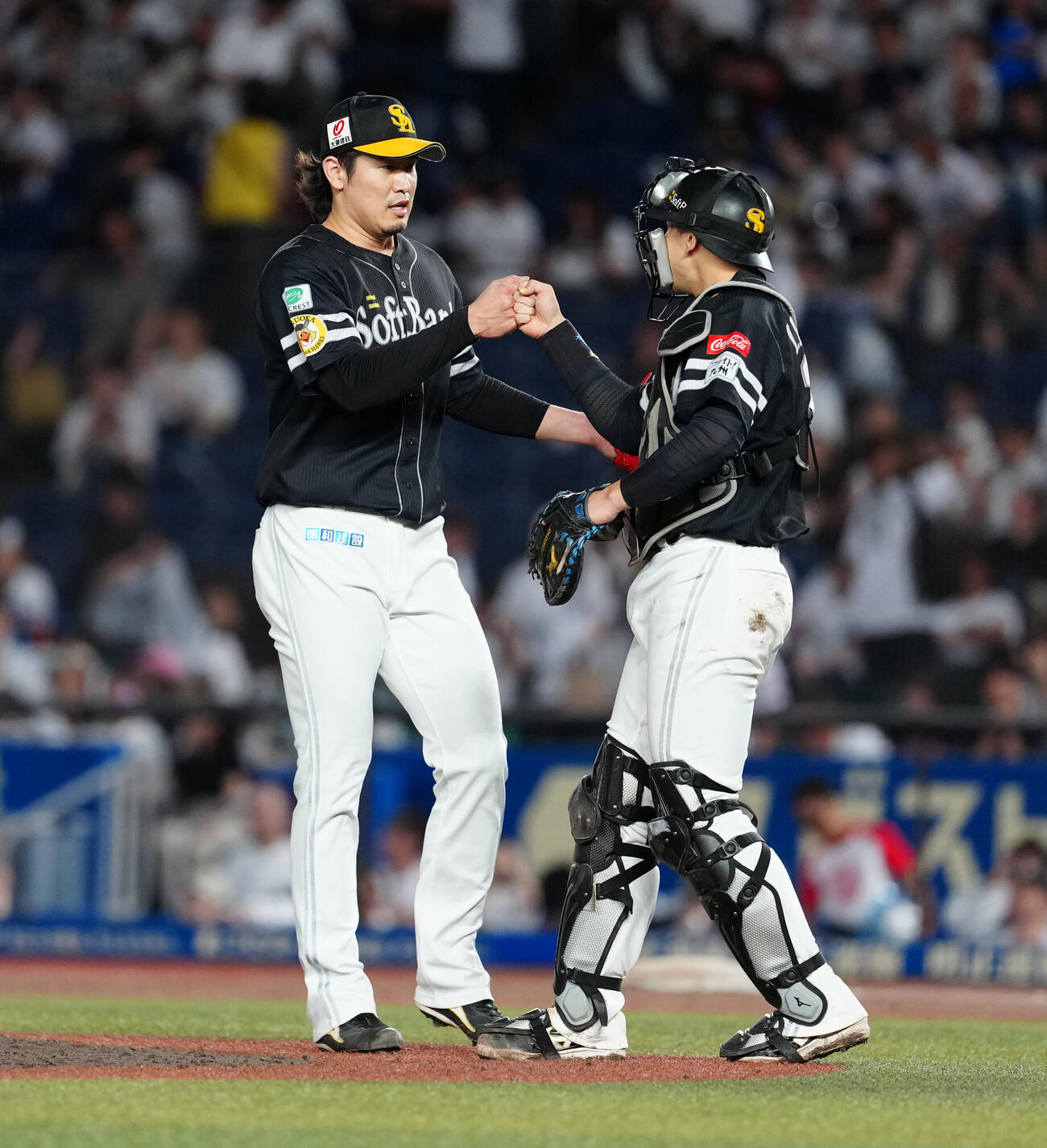 ロッテ対ソフトバンク　ロッテに勝利し山本祐大（右）とタッチを交わすソフトバンク杉山一樹（撮影・鈴木みどり）