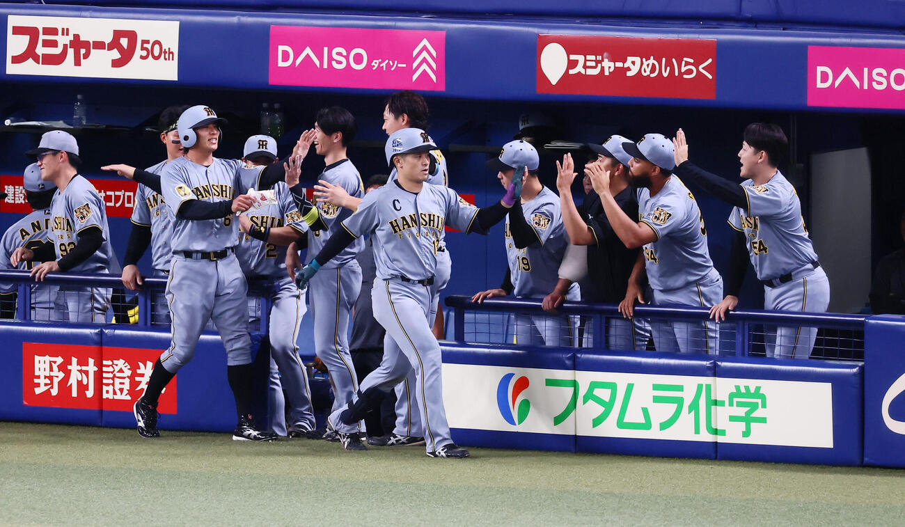 中日対阪神　8回表阪神1死一塁、坂本誠志郎は左越え逆転2点本塁打を放ちベンチのナインとタッチする（撮影・加藤哉）