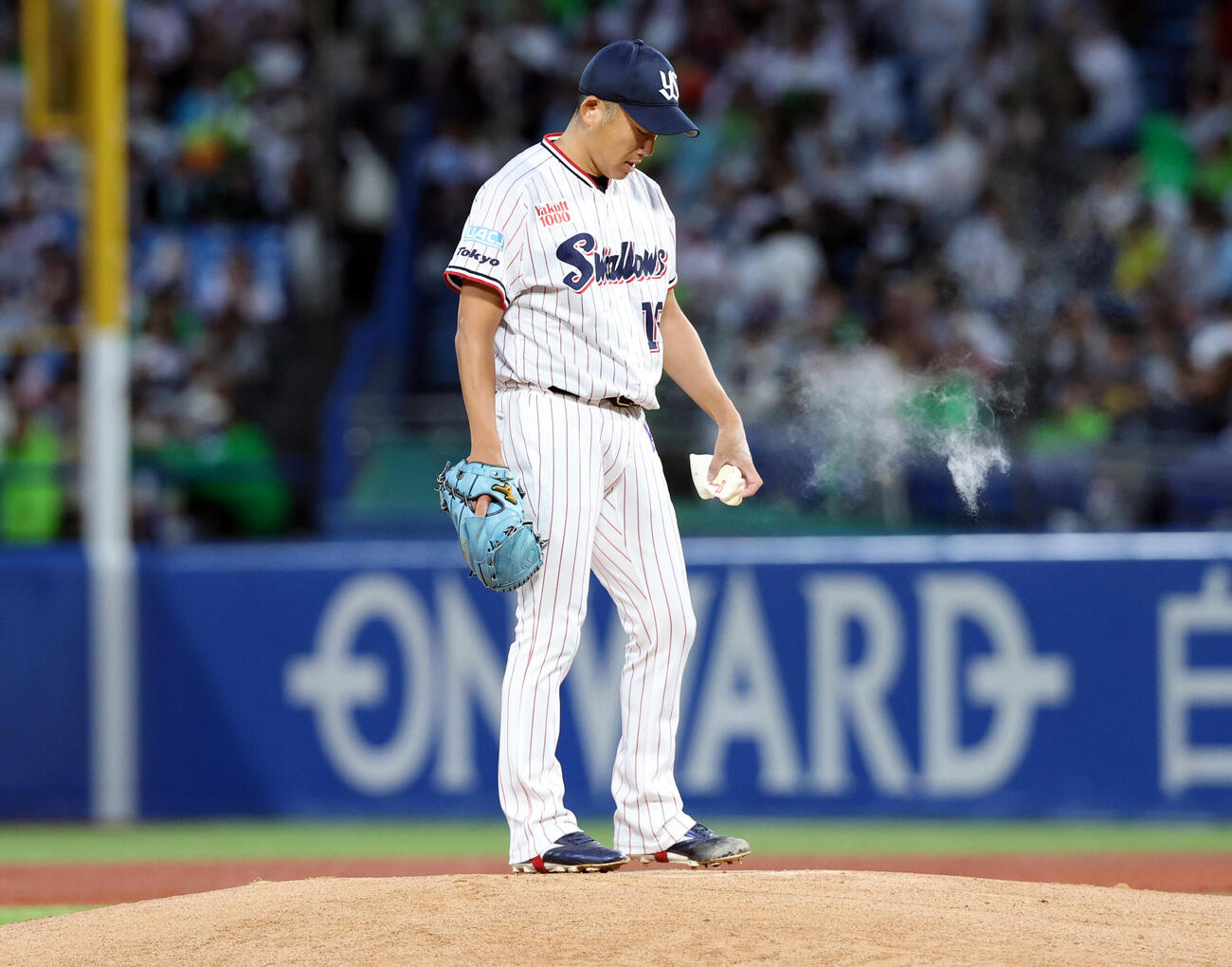 ヤクルト対巨人　1回表巨人の攻撃前、ロージンバッグの粉をはたく石川雅規（撮影・浅見桂子）