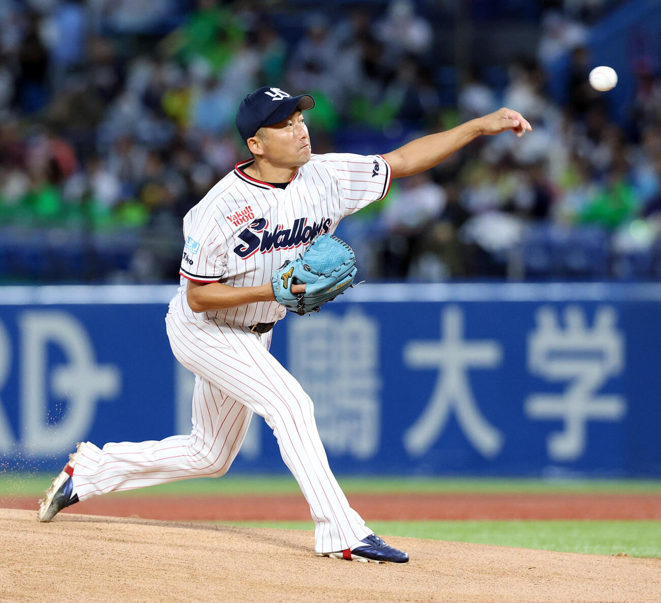 ヤクルト対巨人　ヤクルト先発の石川雅規（撮影・浅見桂子）