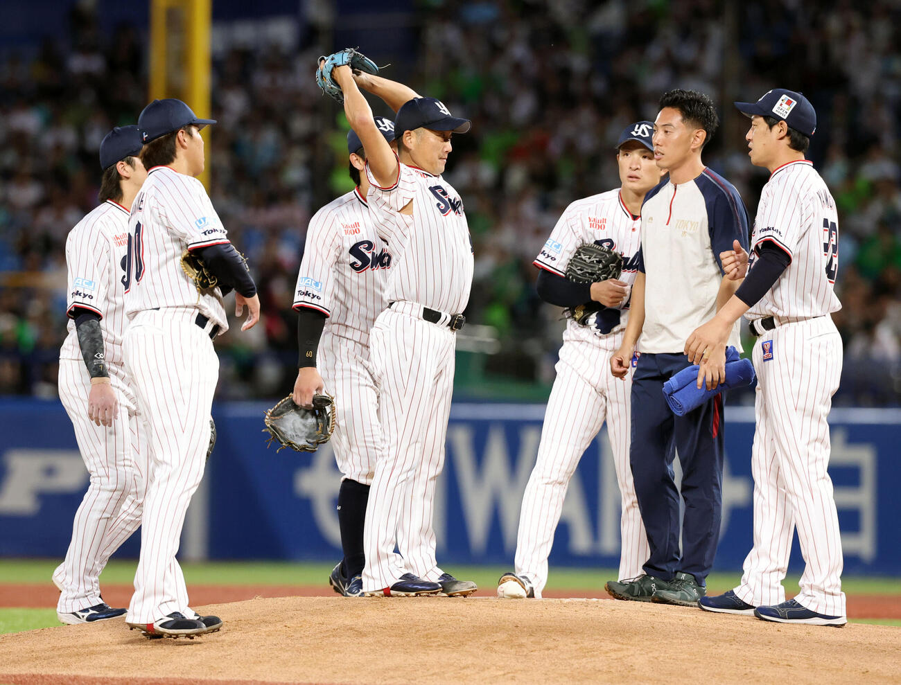 ヤクルト対巨人　1回表巨人1死一塁、泉口友汰に二塁打を許した場面で、マウンドで石川雅規は肩を上げて動かす（撮影・浅見桂子）