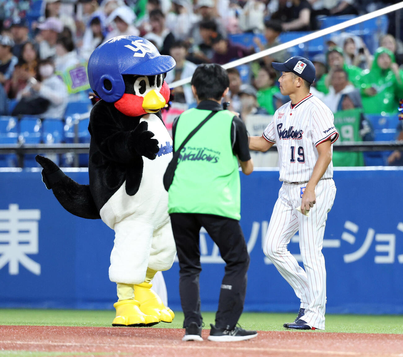 ヤクルト対巨人　1回表巨人の攻撃でマウンドに向かうヤクルト先発の石川雅規はつば九郎とグータッチ（撮影・浅見桂子）