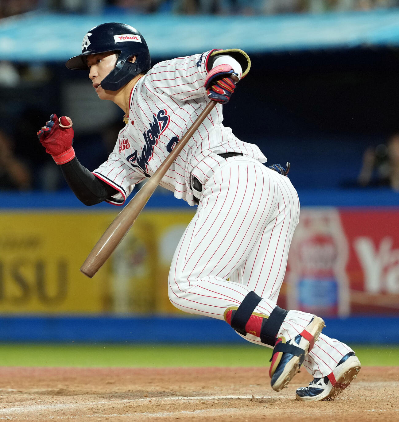 ヤクルト内山壮真（2026年6月撮影）