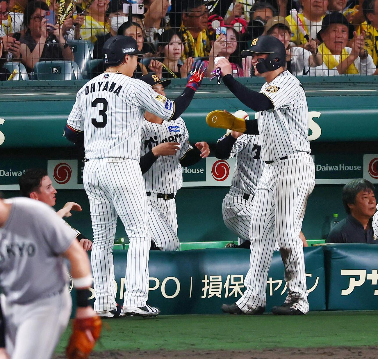 阪神対巨人　5回裏阪神1死三塁、大山悠輔の右犠飛で生還した三走森下翔太（右）はベンチ前でタッチ（撮影・加藤哉）