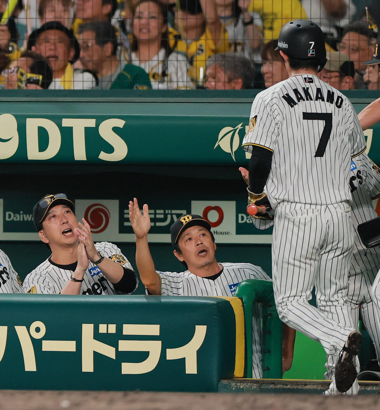 阪神対巨人　3回裏阪神1死一、二塁、藤川球児監督（左）は佐藤輝明の適時打で生還した二走中野拓夢を出迎える（撮影・上山淳一）