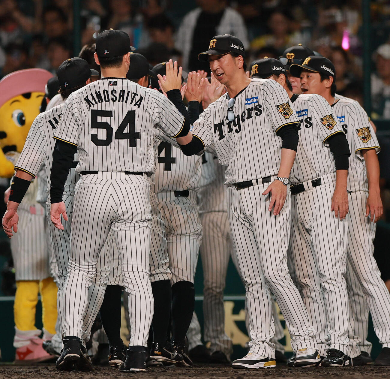 阪神対巨人　巨人に勝利した藤川球児監督はベンチ前でナインとタッチをかわす（撮影・上山淳一）