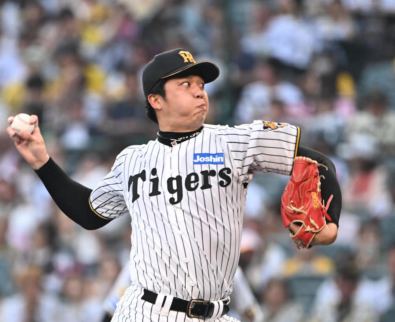 阪神才木浩人（2026年撮影）