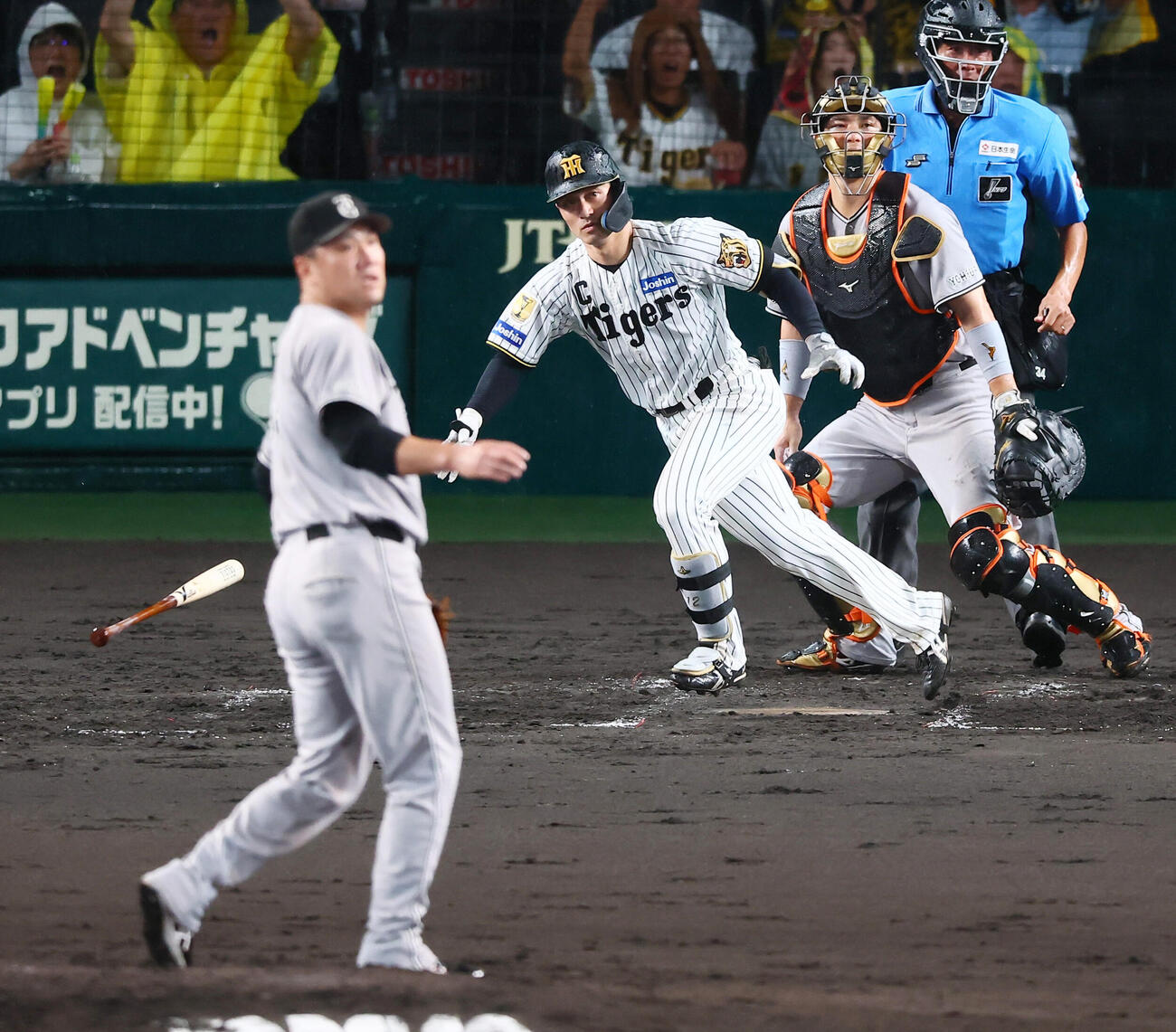 阪神対巨人　4回裏阪神2死一、二塁、坂本誠志郎は左前適時打を放つ。投手田中将大（撮影・加藤哉）