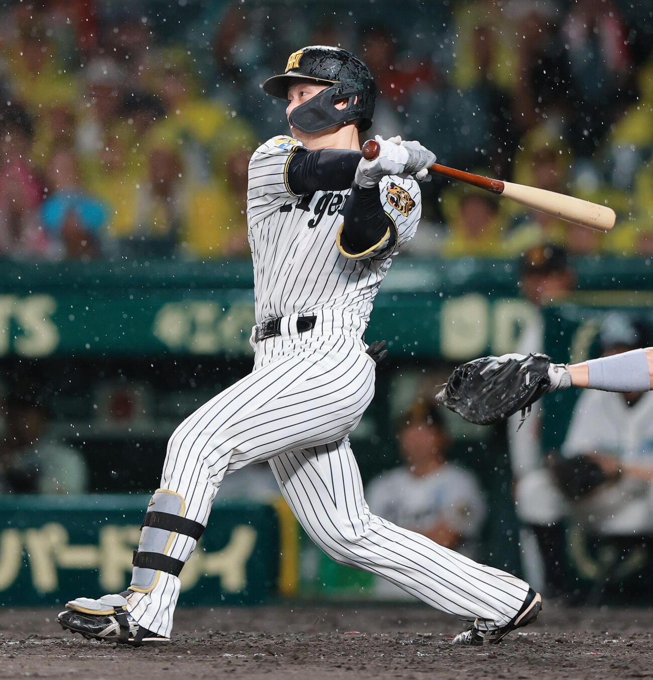 阪神対巨人　4回裏阪神2死一、二塁、坂本誠志郎は適時打を放つ（撮影・上山淳一）