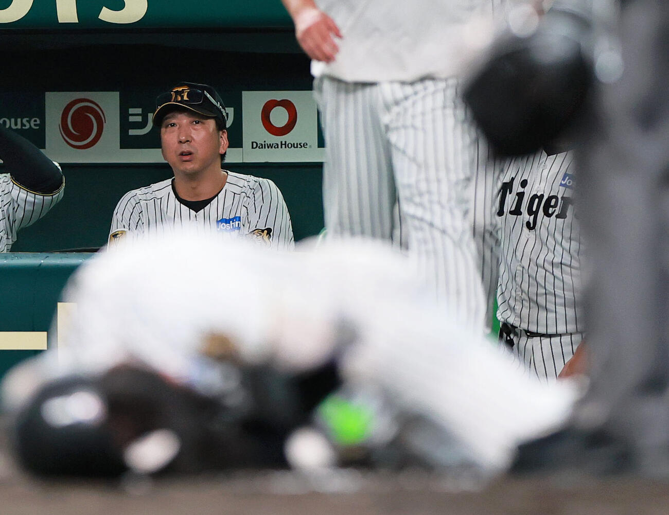 阪神対巨人　7回裏阪神1死、死球で痛がる森下翔太を心配そうに見つめる藤川球児監督（撮影・上山淳一）