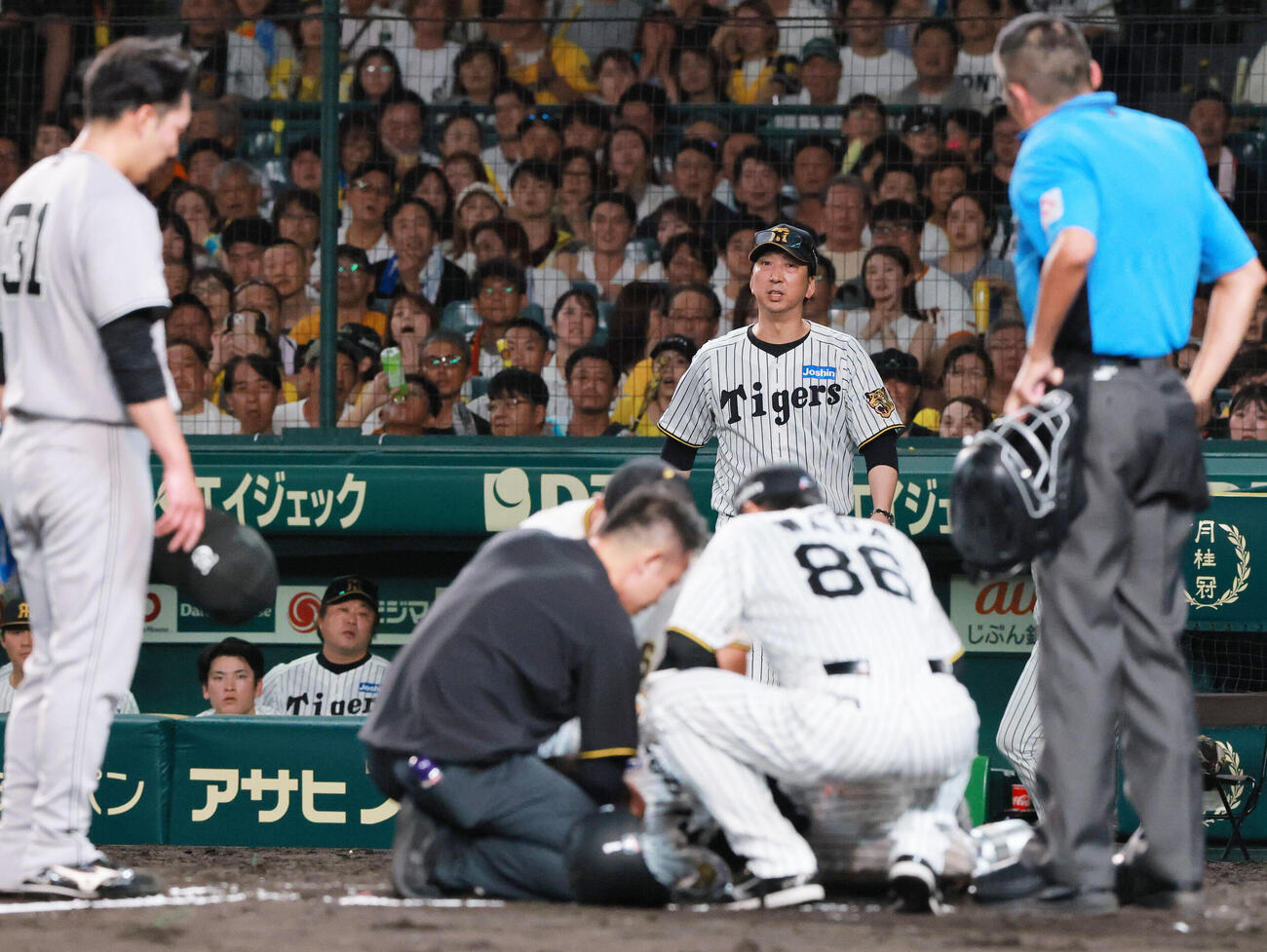 阪神対巨人　7回裏阪神1死、森下翔太が死球を受け心配そうにベンチを飛び出す藤川球児監督（撮影・上山淳一）