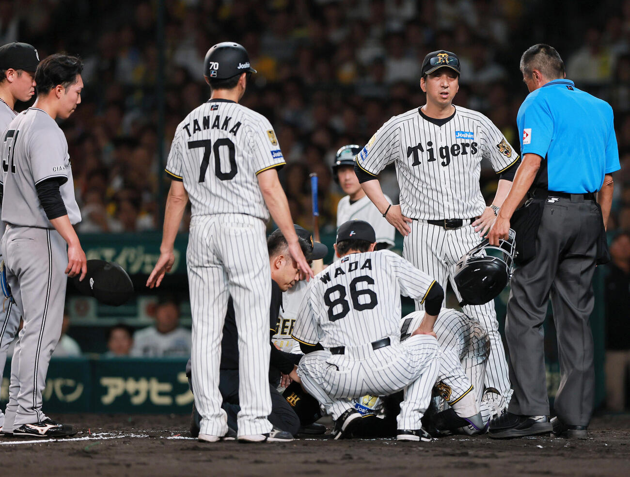 阪神対巨人　7回裏阪神1死、森下翔太が死球を当てられベンチから出る藤川球児監督（右から2人目）（撮影・上山淳一）