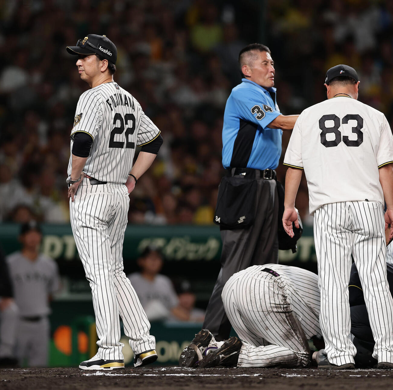 阪神対巨人　7回裏阪神1死、森下翔太（下）が死球を受け、心配そうな表情を見せる藤川球児監督（左）（撮影・前田充）