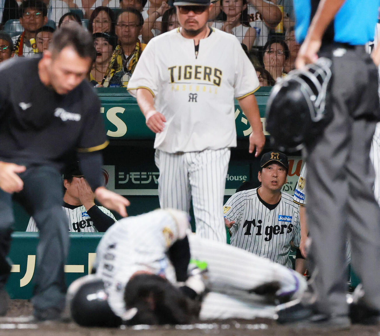 阪神対巨人　7回裏阪神1死、死球で痛がる森下翔太を心配そうに見つめる藤川球児監督（撮影・上山淳一）