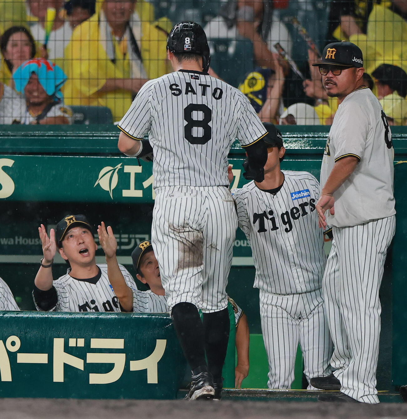阪神対巨人　4回裏阪神2死一、二塁、藤川球児監督（左）は坂本誠志郎の適時打で二走佐藤輝明が生還し喜ぶ（撮影・上山淳一）