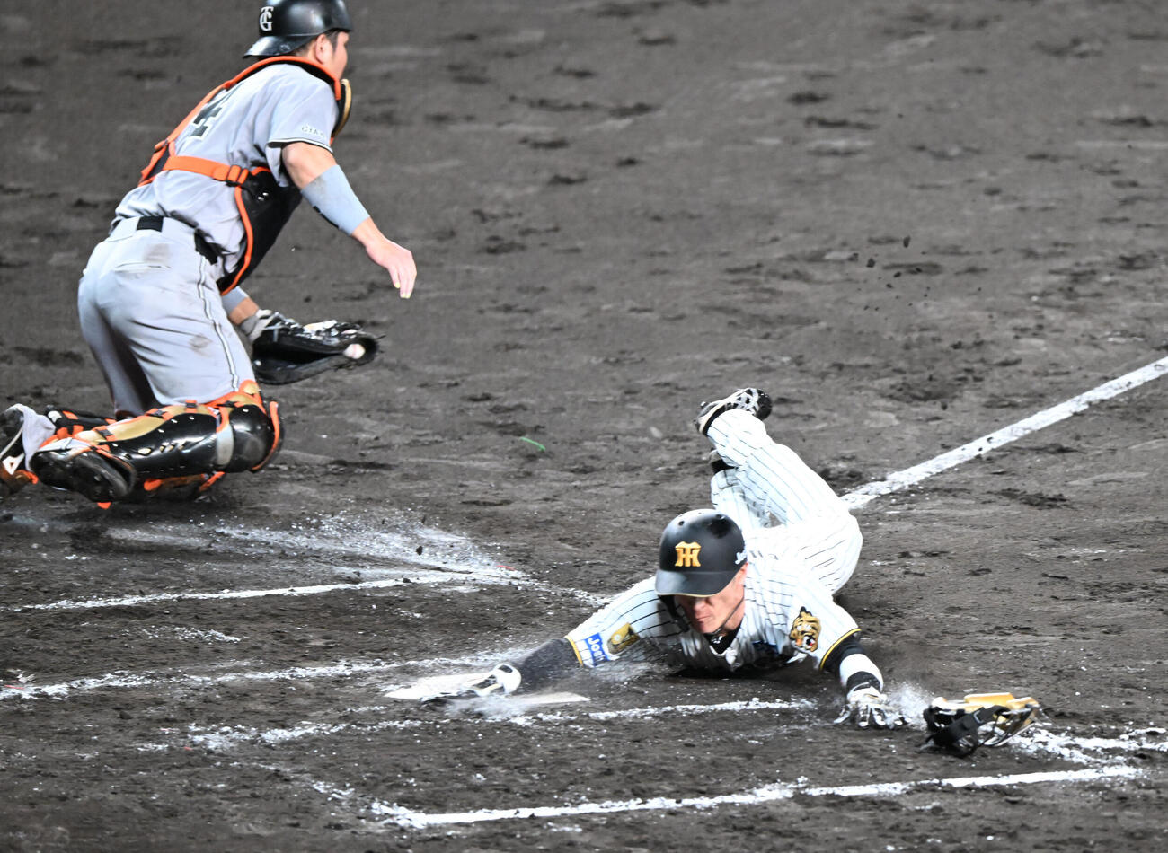 阪神対巨人　7回裏阪神1死一、三塁、大山の二ゴロで生還する三走福島圭音（撮影・和賀正仁）