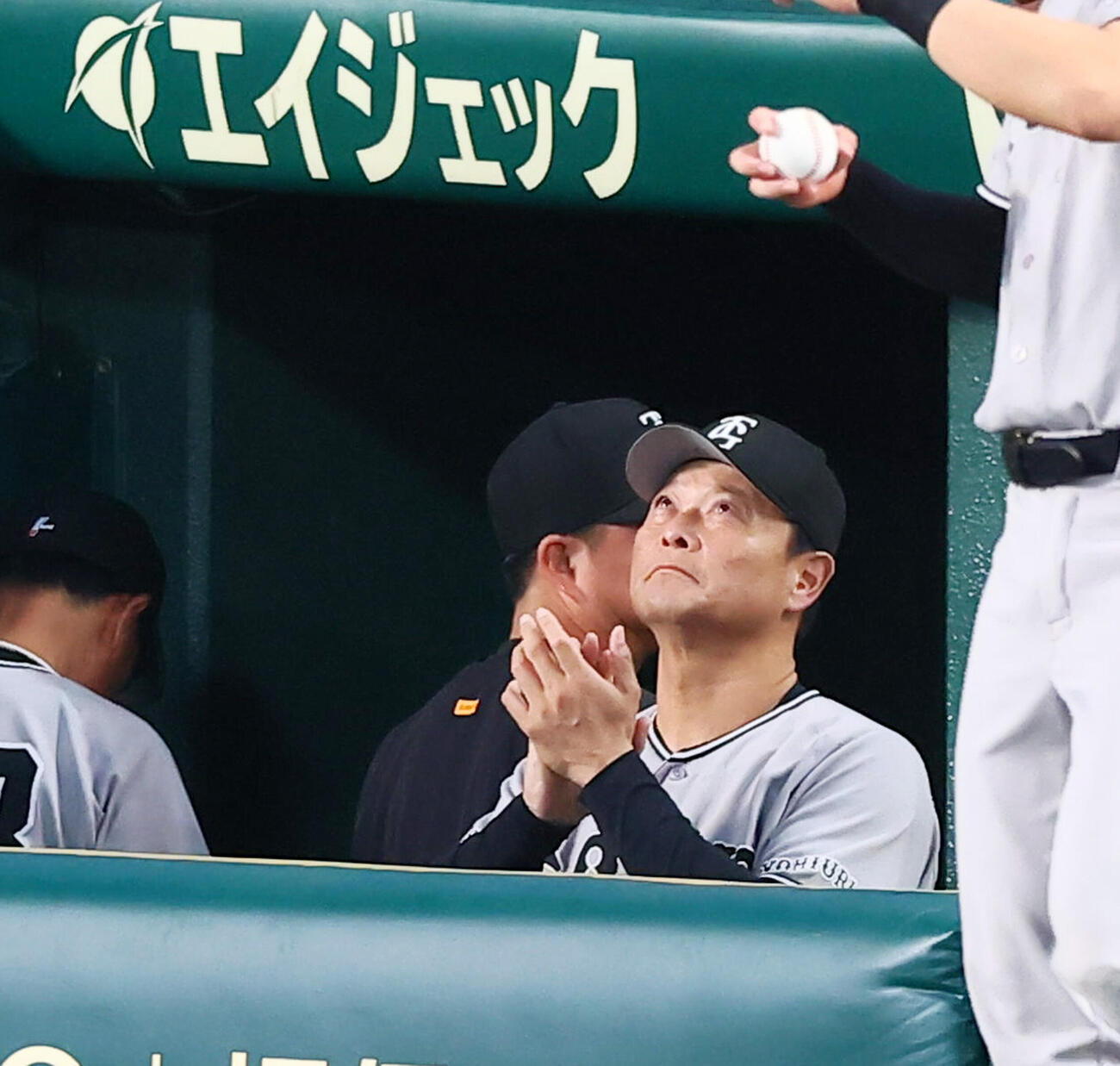 阪神対巨人　2回裏を終えベンチの中で手を叩く巨人橋上秀樹監督代行（撮影・加藤哉）