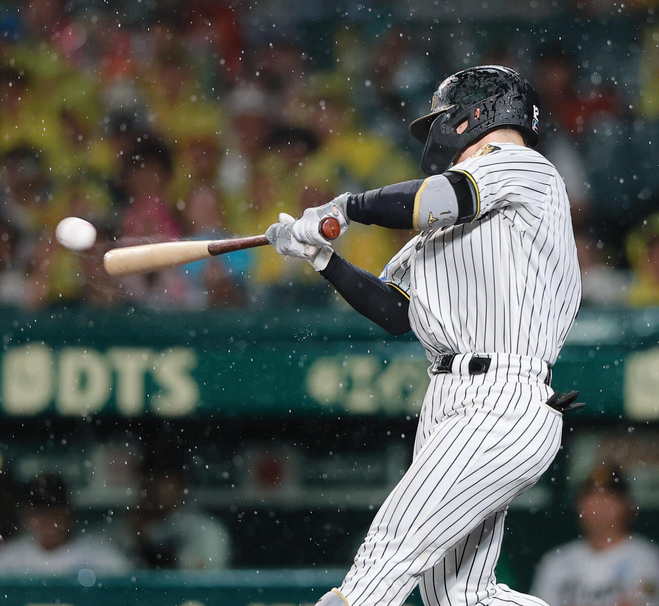 阪神対巨人　4回裏阪神2死一、二塁、坂本誠志郎は適時打を放つ（撮影・上山淳一）