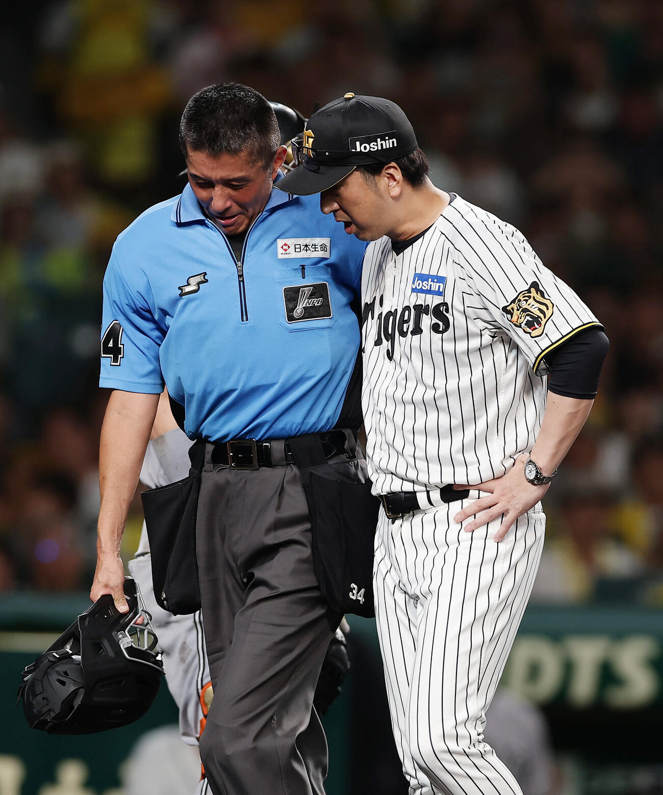 阪神対巨人　7回裏阪神1死、森下翔太が死球を受け、土山球審（左）と言葉を交わす藤川球児監督（撮影・前田充）
