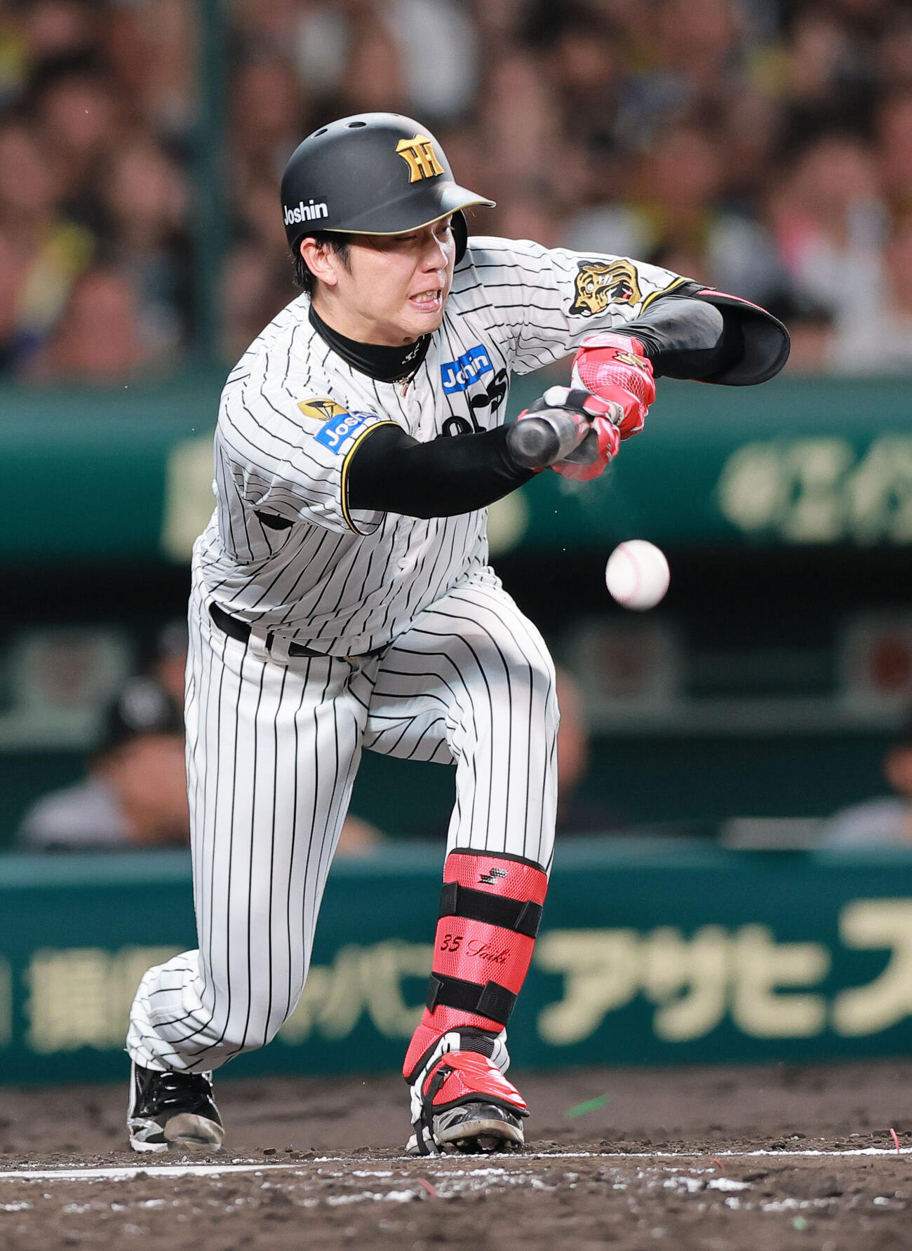 阪神対巨人　3回裏阪神無死一、二塁、才木浩人は送りバントを決める（撮影・上山淳一）
