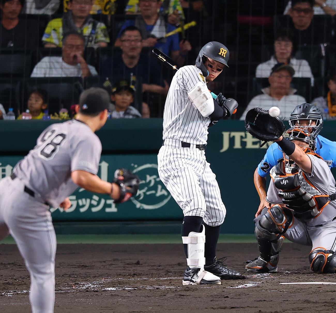 阪神対巨人　3回裏阪神1死一塁、佐藤輝明は死球を受ける（撮影・上田博志）