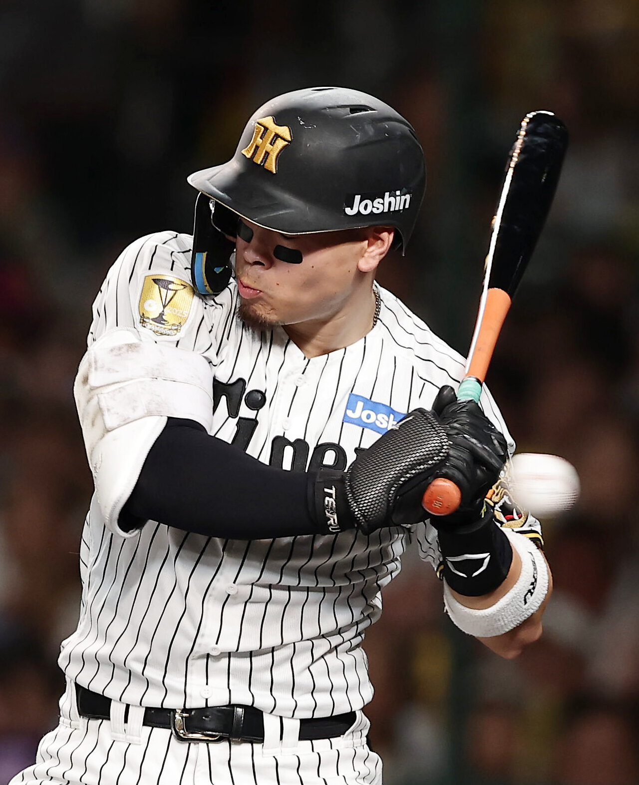 阪神対巨人　3回裏阪神1死一塁、死球を受ける佐藤輝明（撮影・前田充）