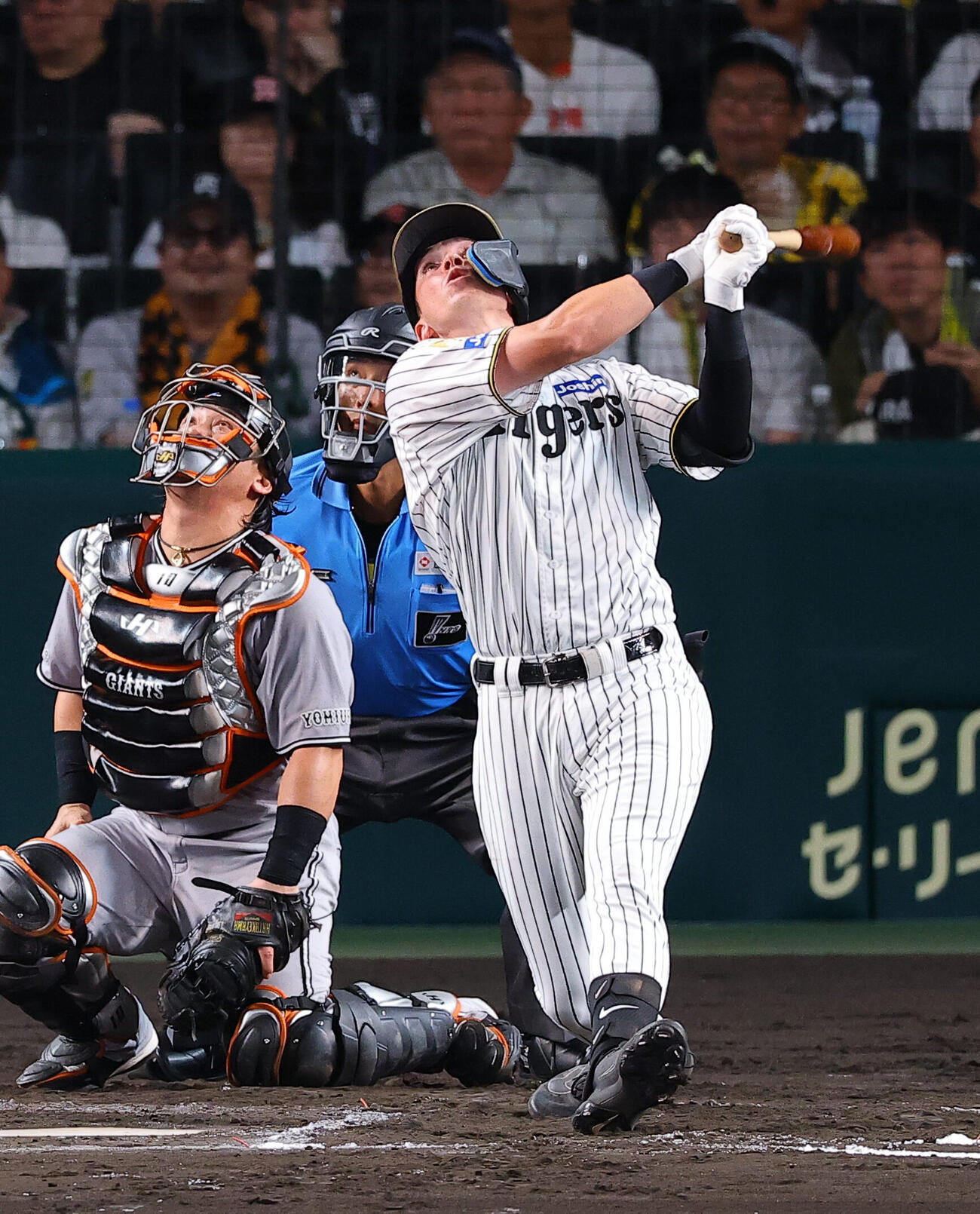 阪神対巨人　7回裏阪神無死、キャム・ディベイニーは一邪飛に倒れる（撮影・上田博志）