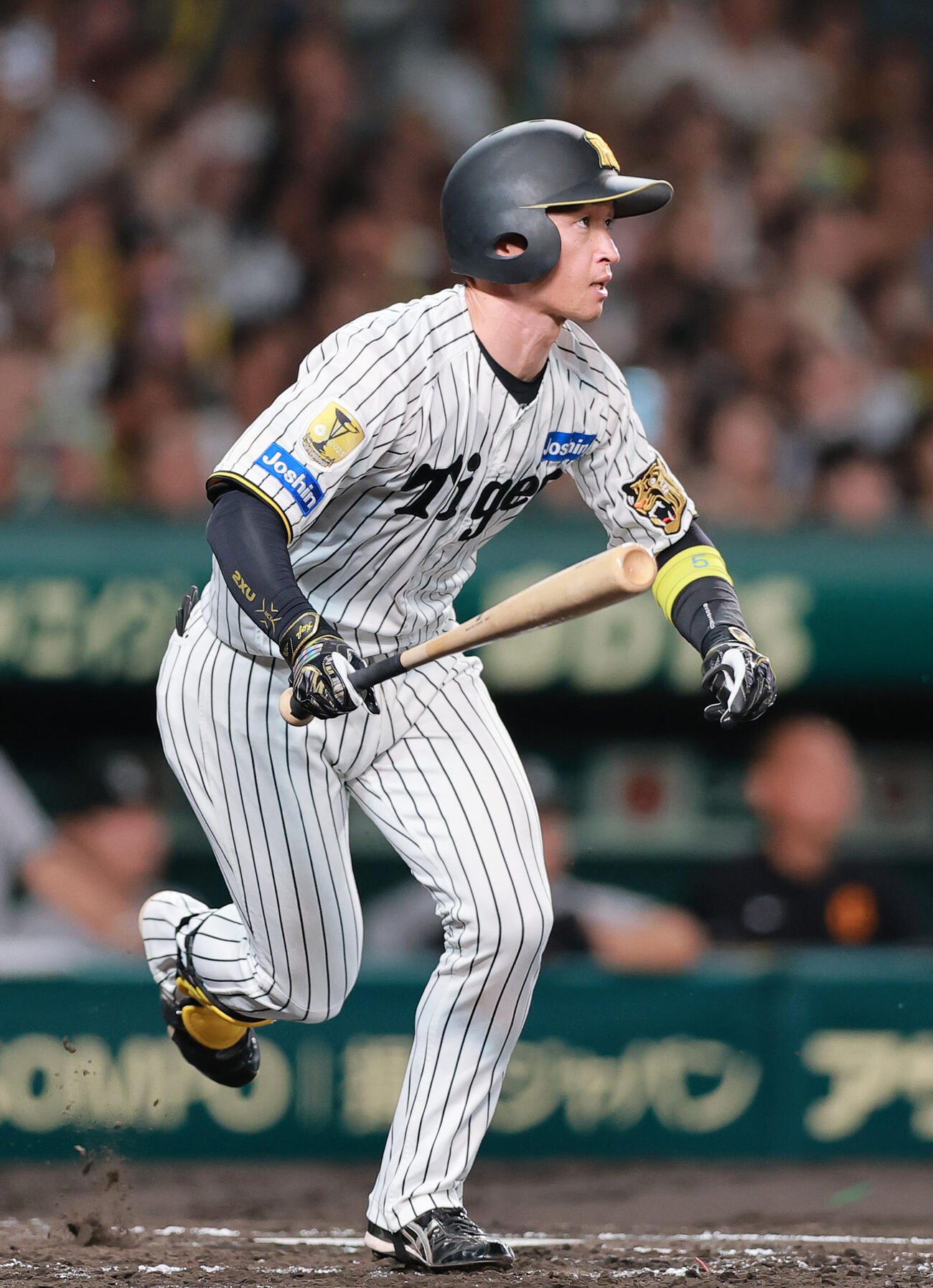阪神対巨人　3回裏阪神無死満塁、近本光司は先制となる中前への打球を放つ。一走が封殺され記録は中前ゴロ（撮影・上山淳一）