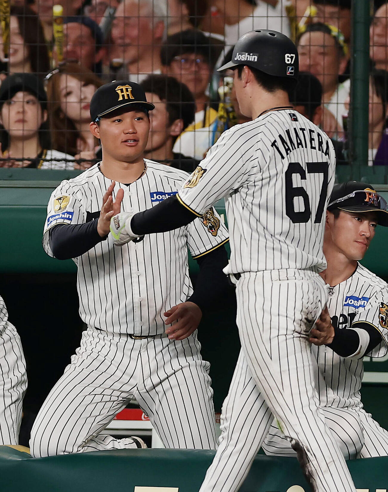 阪神対巨人　3回裏阪神無死満塁、近本光司の中ゴロで生還した高寺望夢（中央）を迎える森下翔太（撮影・前田充）