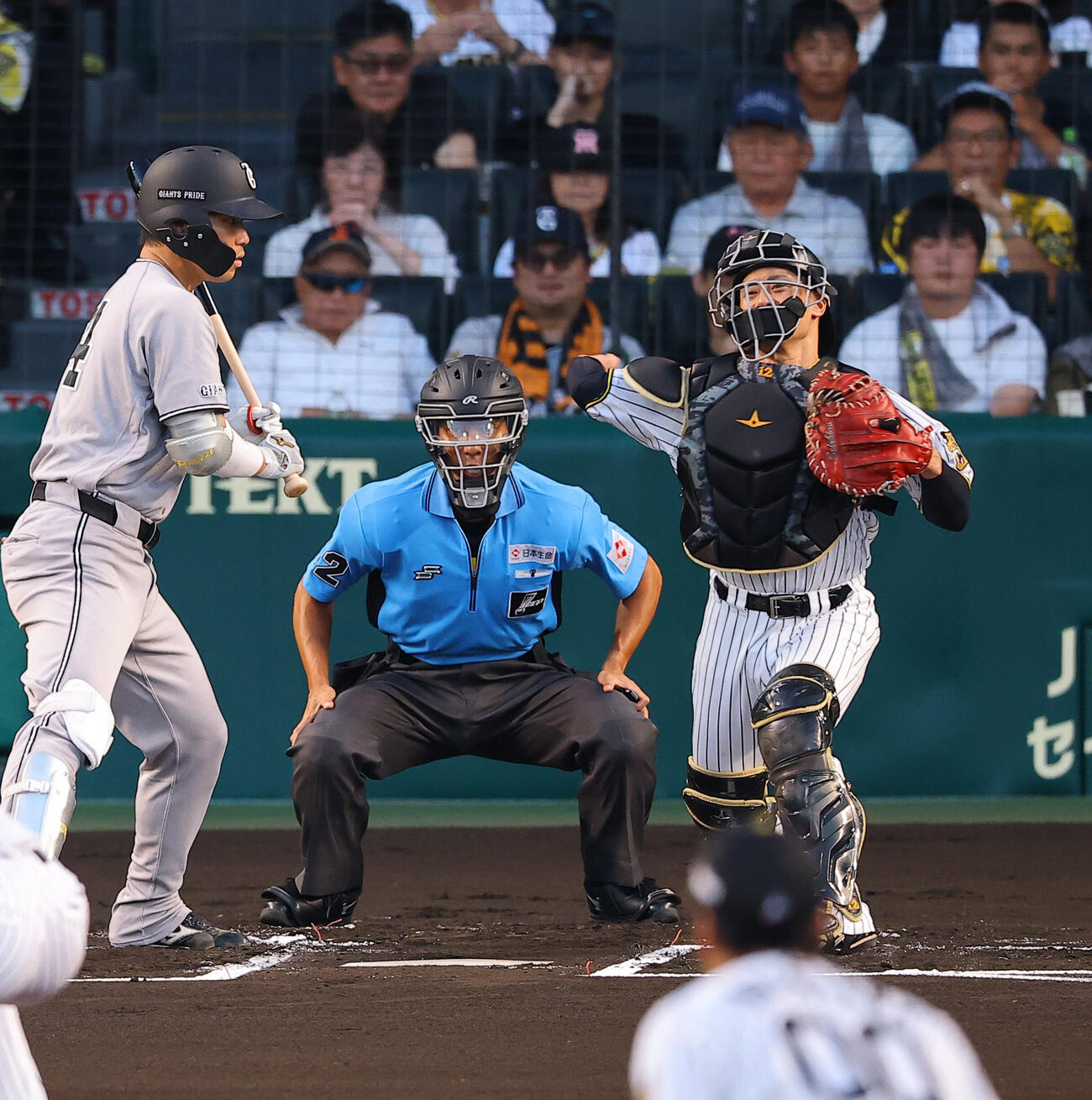 阪神対巨人　1回表巨人2死一塁、二盗を狙う佐々木俊輔を刺す坂本誠志郎（撮影・上田博志）