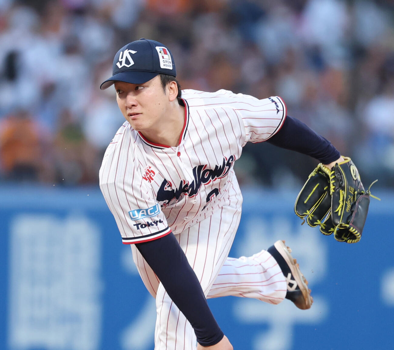 ヤクルト吉村貢司郎（2026年撮影）