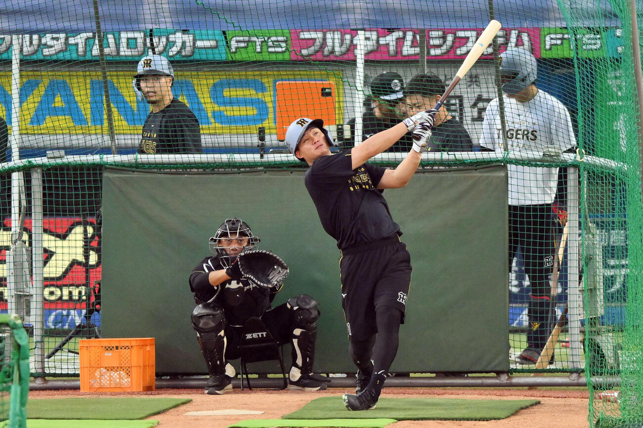 ヤクルト対阪神　試合前練習する阪神森下翔太（撮影・滝沢徹郎）