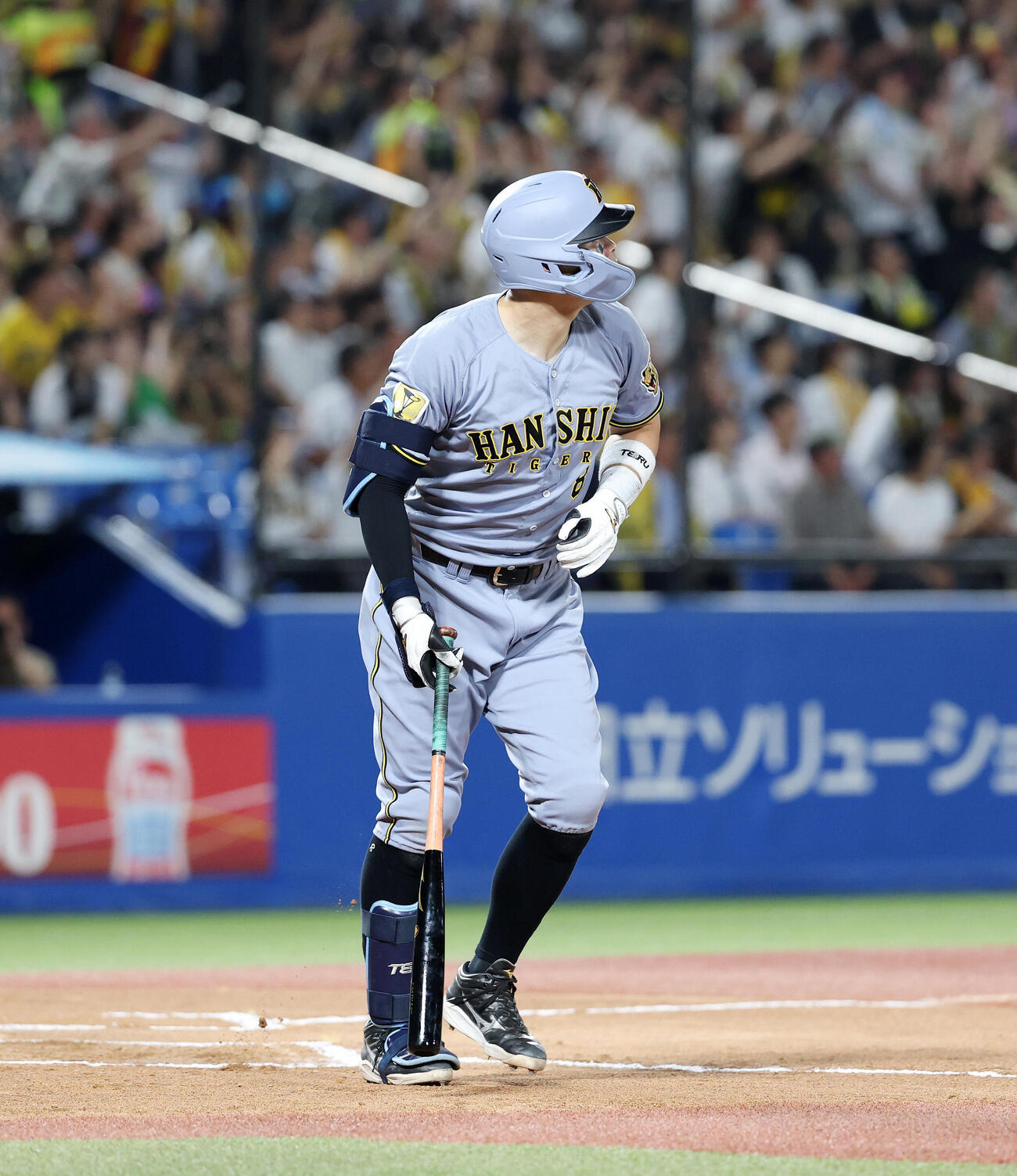 ヤクルト対阪神　6回表阪神1死一塁、佐藤輝明は2点本塁打を放つ（撮影・鈴木正人）