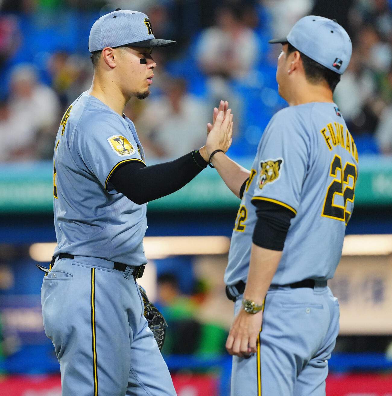 ヤクルト対阪神　ヤクルトに勝利した阪神佐藤輝明（左）は藤川球児監督とタッチを交わす（撮影・垰建太）