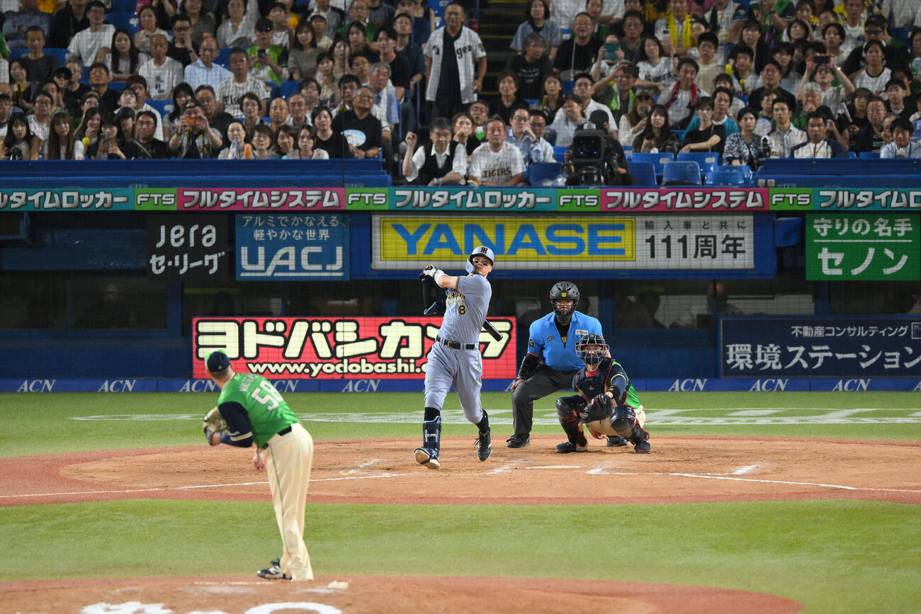 ヤクルト対阪神　9回表阪神2死、佐藤輝明はソロ本塁打を放つ。投手ナッシュ・ウォルターズ（撮影・滝沢徹郎）
