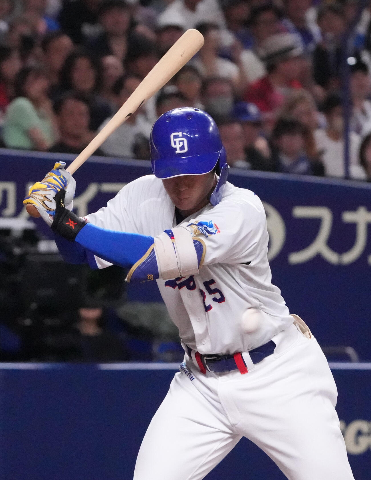 中日対広島　7回裏中日2死一塁、死球を受ける石川昂弥（撮影・森本幸一）