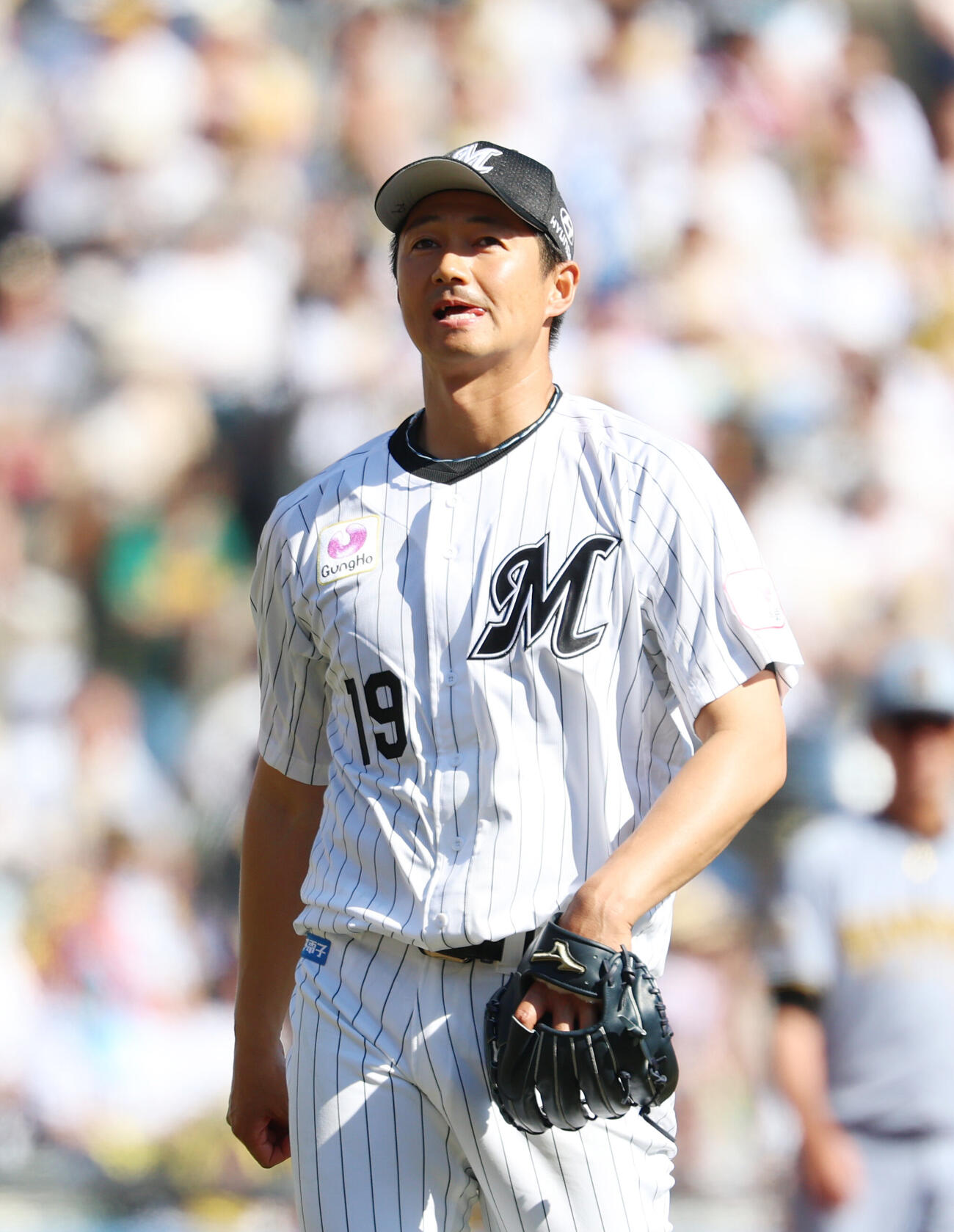 2026年5月30日、阪神戦の5回表を終え、がっくりとベンチに戻るロッテ唐川侑己（撮影・増田悦実）