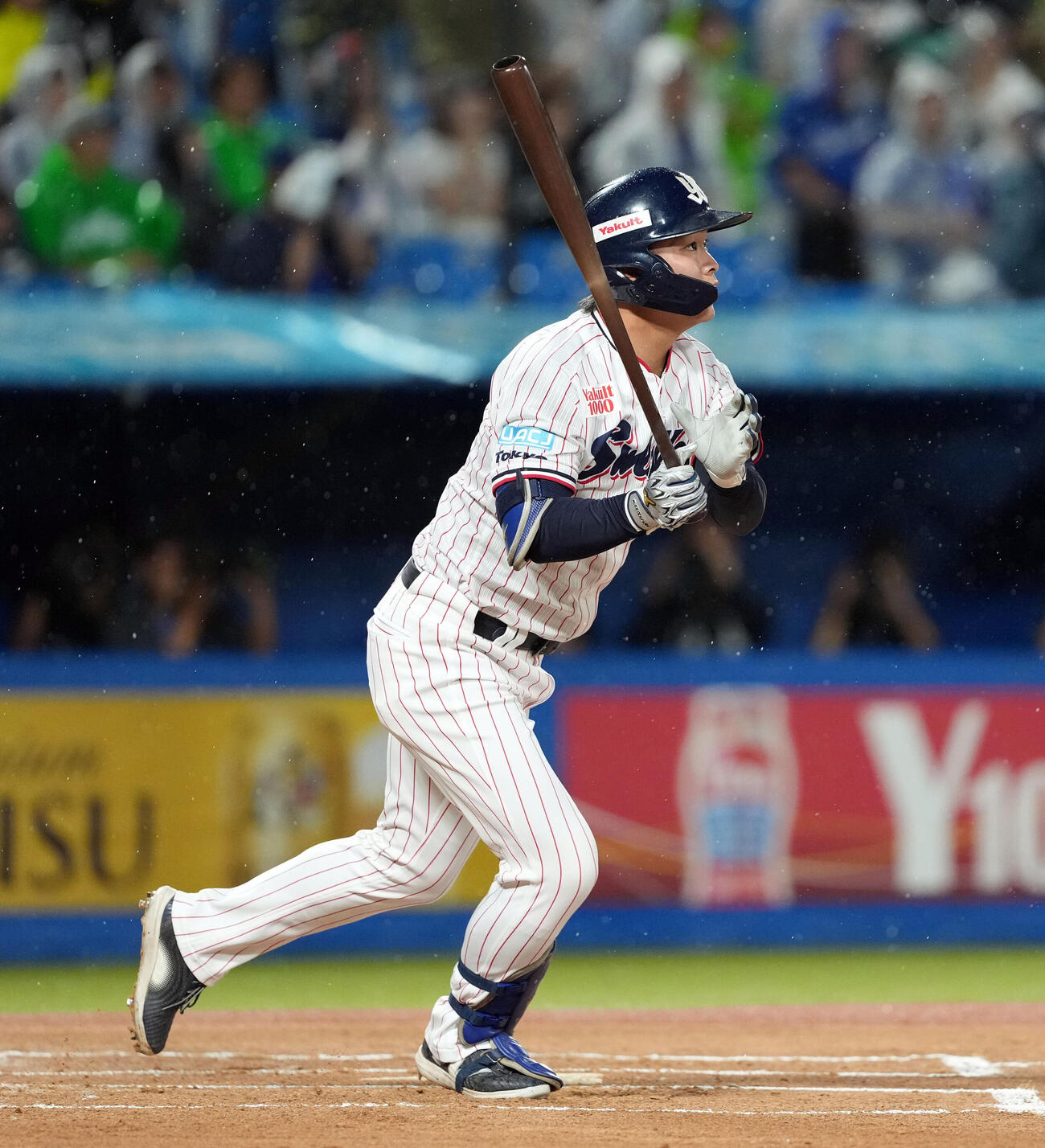 ヤクルト対中日　1回裏ヤクルト1死、プロ初本塁打を放つ西村瑠伊斗（撮影・たえ見朱実）