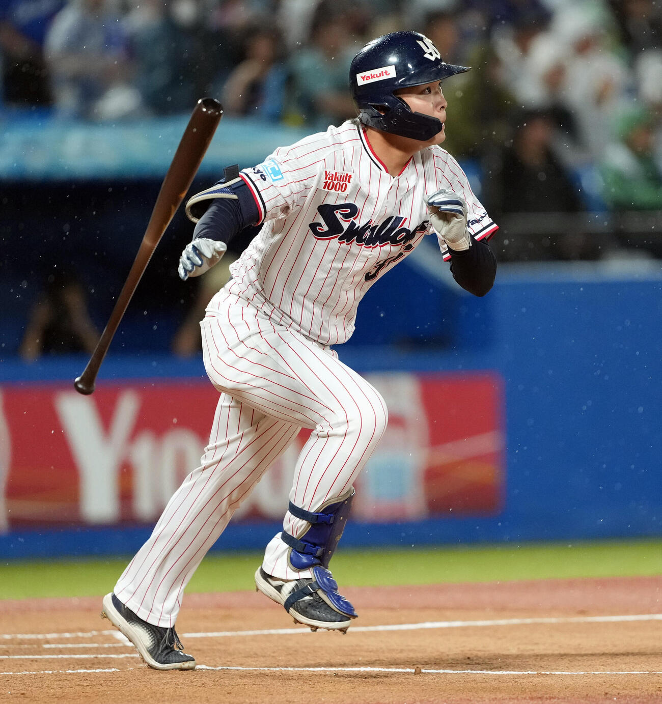 ヤクルト対中日　1回裏ヤクルト1死、プロ初本塁打を放つ西村瑠伊斗（撮影・たえ見朱実）